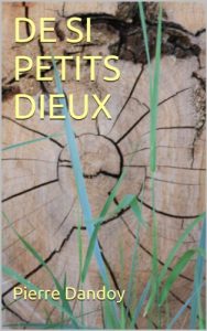Baixar DE SI PETITS DIEUX (French Edition) pdf, epub, eBook