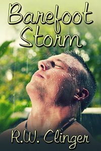Baixar Barefoot Storm (Barefoot Beach Book 2) (English Edition) pdf, epub, eBook