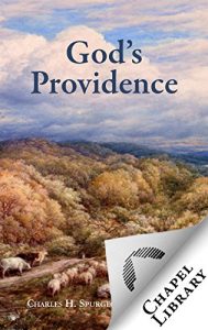 Baixar God’s Providence (English Edition) pdf, epub, eBook