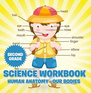 Baixar Second Grade Science Workbook: Human Anatomy – Our Bodies pdf, epub, eBook