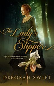 Baixar The Lady’s Slipper (English Edition) pdf, epub, eBook