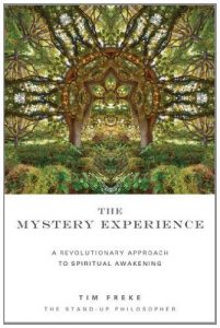 Baixar The Mystery Experience: A revolutionary approach to spiritual awakening pdf, epub, eBook