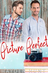 Baixar Picture Perfect (English Edition) pdf, epub, eBook
