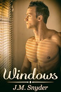 Baixar Windows (English Edition) pdf, epub, eBook