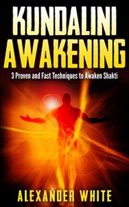 Baixar Kundalini Awakening: 3 Proven and Fast Techniques to Awaken Shakti (Kundalini yoga, kundalini awakening, kundalini rising, kundalini tantra, kundalini … guide, spiritual) (English Edition) pdf, epub, eBook
