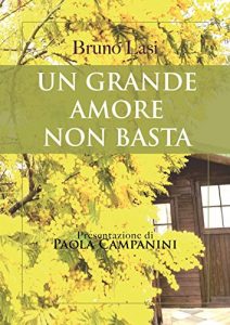 Baixar UN GRANDE AMORE NON BASTA (Italian Edition) pdf, epub, eBook
