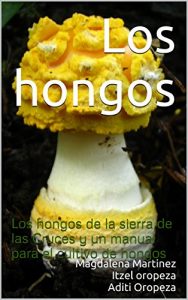 Baixar Los hongos: Los hongos de  la sierra de las Cruces y un manual para el cultivo de hongos (Spanish Edition) pdf, epub, eBook