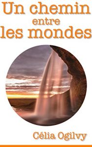 Baixar Un chemin entre les mondes (French Edition) pdf, epub, eBook