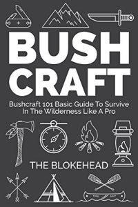 Baixar Bushcraft : Bushcraft 101 Basic Guide To Survive In The Wilderness Like A Pro (The Blokehead Success Series) (English Edition) pdf, epub, eBook