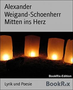 Baixar Mitten ins Herz (German Edition) pdf, epub, eBook