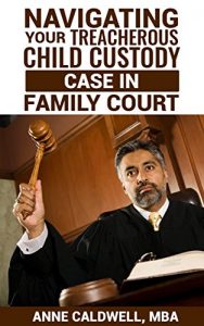 Baixar Navigating Your Treacherous Child Custody Case in Family Court (English Edition) pdf, epub, eBook
