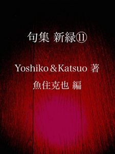 Baixar kushuu shinryoku juuichi (Japanese Edition) pdf, epub, eBook