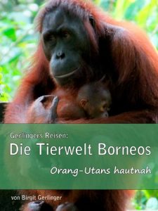 Baixar Gerlingers Reisen: Tierwelt Borneos: Orang-Utans hautnah (German Edition) pdf, epub, eBook