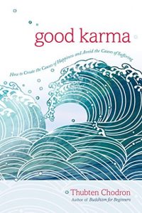 Baixar Good Karma: How to Create the Causes of Happiness and Avoid the Causes of Suffering pdf, epub, eBook