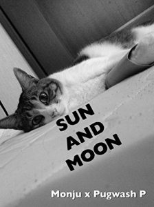 Baixar san ando mu-nn: This is a cat 4 (Japanese Edition) pdf, epub, eBook