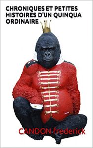 Baixar CHRONIQUES ET PETITES HISTOIRES D’UN QUINQUA ORDINAIRE (French Edition) pdf, epub, eBook