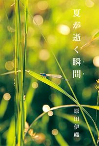 Baixar NATSUGAIKUTOKI (Japanese Edition) pdf, epub, eBook