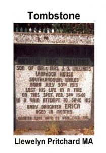 Baixar Tombstone Port Hope Simpson Mysteries (Japanese Edition) pdf, epub, eBook