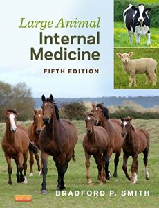 Baixar Large Animal Internal Medicine – E-Book pdf, epub, eBook