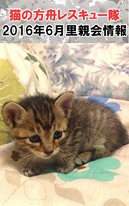 Baixar nekonohakobunesatooyakai6gatsusatooyakaijouhou (Japanese Edition) pdf, epub, eBook