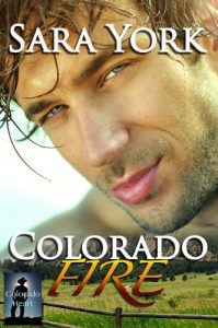 Baixar Colorado Fire (Colorado Heart Book 2) (English Edition) pdf, epub, eBook