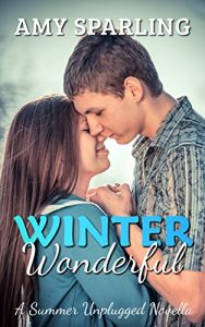 Baixar Winter Wonderful (Summer Unplugged Book 7) (English Edition) pdf, epub, eBook