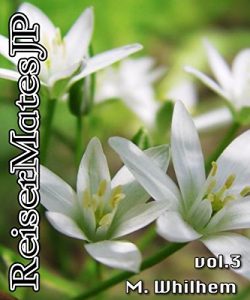 Baixar ReiserMatesJP 3 (Danish Edition) pdf, epub, eBook