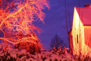 Baixar Weihnachten – heuer gibts nix. (German Edition) pdf, epub, eBook