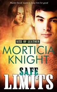 Baixar Safe Limits (Kiss of Leather Book 2) (English Edition) pdf, epub, eBook