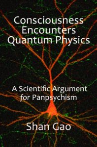 Baixar Consciousness Encounters Quantum Physics: A Scientific Argument for Panpsychism (English Edition) pdf, epub, eBook