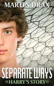 Baixar Separate Ways: Harry’s Story (The Boys Of Colony Theta Book 2) (English Edition) pdf, epub, eBook