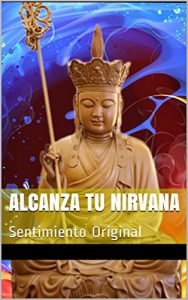 Baixar Alcanza tu NIRVANA: Sentimiento Original (Spanish Edition) pdf, epub, eBook