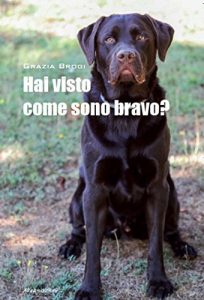 Baixar Hai visto come sono bravo? pdf, epub, eBook