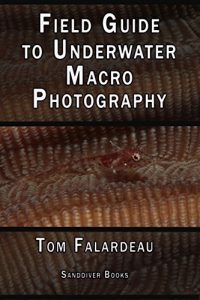 Baixar Field Guide to Underwater Macro Photography (English Edition) pdf, epub, eBook