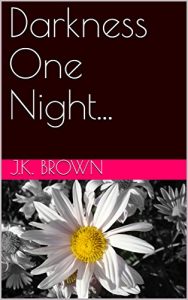 Baixar Darkness One Night… (English Edition) pdf, epub, eBook