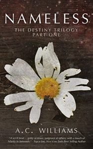 Baixar Nameless: The Destiny Trilogy Part One (Morningstar Book 1) (English Edition) pdf, epub, eBook