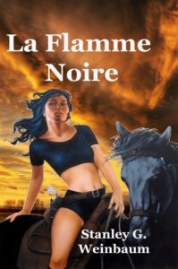 Baixar La Flamme Noire (French Edition) pdf, epub, eBook