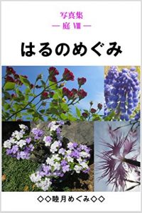 Baixar Photos Collection Garden Springs Bounty (Japanese Edition) pdf, epub, eBook