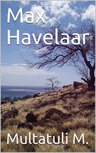 Baixar Max Havelaar (French Edition) pdf, epub, eBook