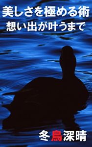 Baixar Art of Mastering the beauty: Until a Memory Materializes (Japanese Edition) pdf, epub, eBook