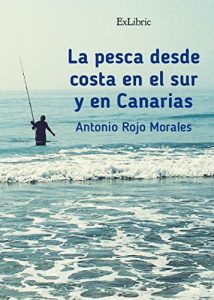 Baixar La pesca desde costa en el sur y en Canarias pdf, epub, eBook