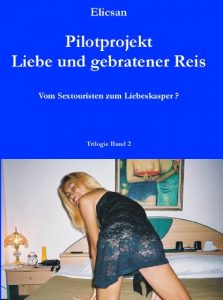 Baixar Thailand-Trilogie Band 2 – Pilotprojekt Liebe und gebratener Reis (German Edition) pdf, epub, eBook
