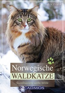 Baixar Norwegische Waldkatze: Skandinaviens sanfte Wilde (Katzen) (German Edition) pdf, epub, eBook