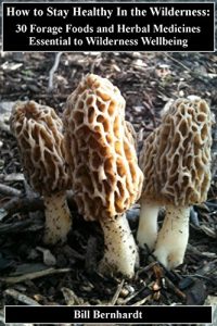 Baixar How to Stay Healthy in the Wilderness:: 30 forage foods and herbal medicines essential to wilderness wellbeing (Doc Trout’s Survival Wisdom Series Book 3) (English Edition) pdf, epub, eBook