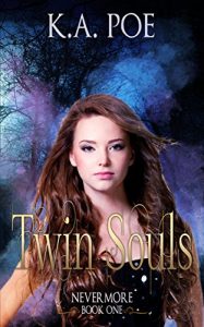 Baixar Twin Souls (The Nevermore Series, Book 1) – A Free Vampire Book (English Edition) pdf, epub, eBook