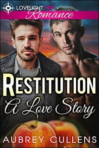 Baixar Restitution: A Love Story (English Edition) pdf, epub, eBook