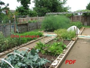 Baixar Orto ecologico (Coltivare ortaggi ecologici Vol. 1) (Italian Edition) pdf, epub, eBook