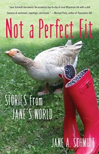 Baixar Not a Perfect Fit: Stories from Jane’s World pdf, epub, eBook