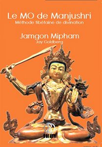 Baixar Le MO de Manjushri (French Edition) pdf, epub, eBook