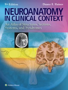 Baixar Neuroanatomy in Clinical Context: An Atlas of Structures, Sections, Systems, and Syndromes (Neuroanatomy: An Atlas of Strutures, Sections, and Systems () pdf, epub, eBook